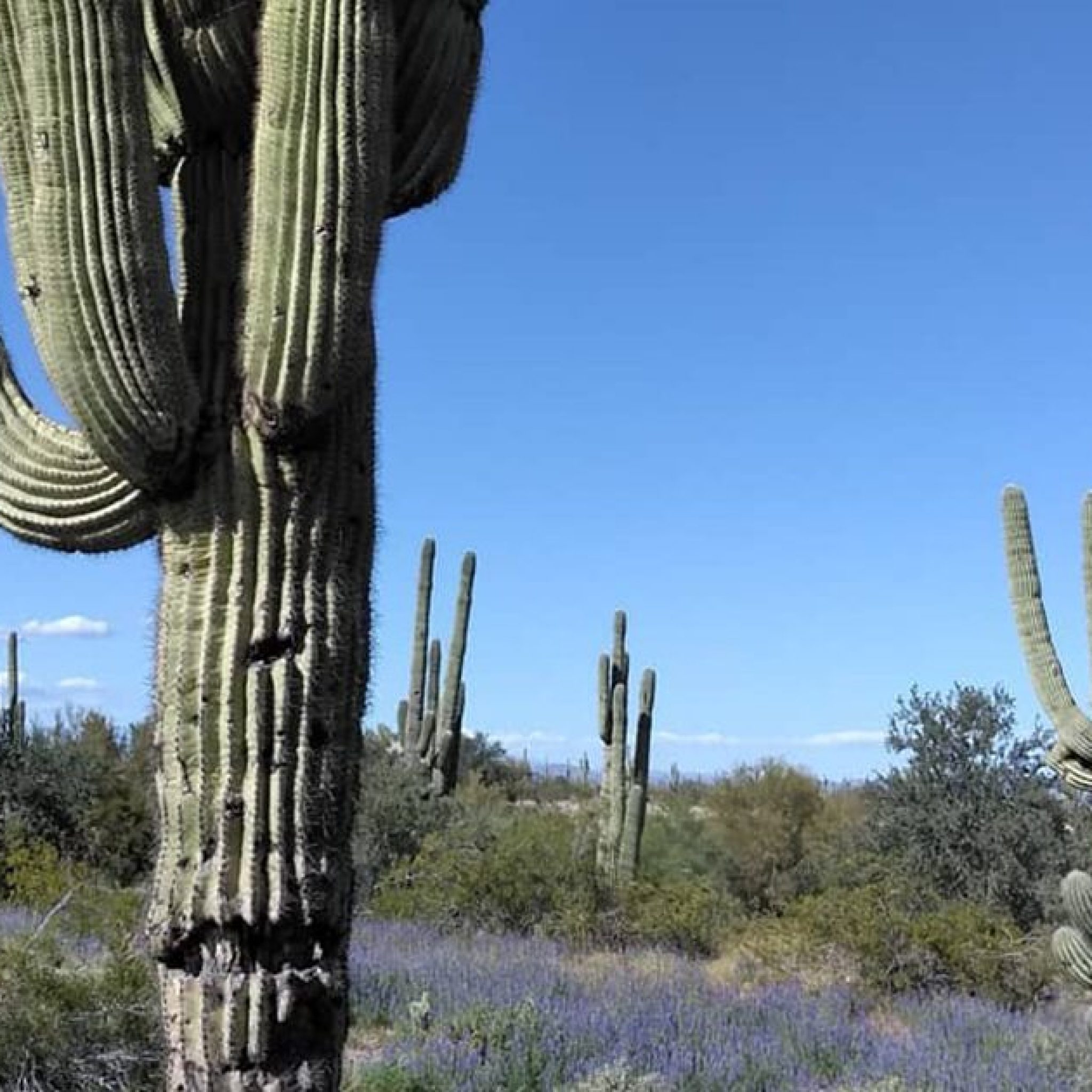 Defensive Driving El Mirage Arizona FB