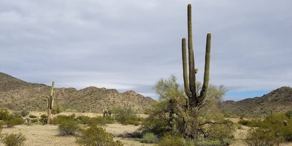 Defensive Driving Gila Bend Arizona FT TW